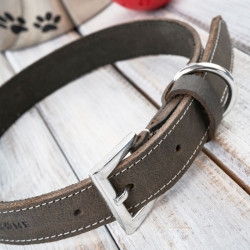 OBROŻA DLA PSA SKÓRZANA W STYLU VINTAGE BRĄZOWA ROZM. L/XL PETSOME 21P02L