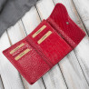 Portfel damski skórzany mały czerwony croco w orientacji poziomej z RFID Paolo Peruzzi T-135-RD