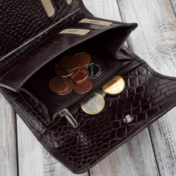 Portfel damski skórzany mały brązowy croco w orientacji poziomej z ochroną RFID Paolo Peruzzi T-135-BR